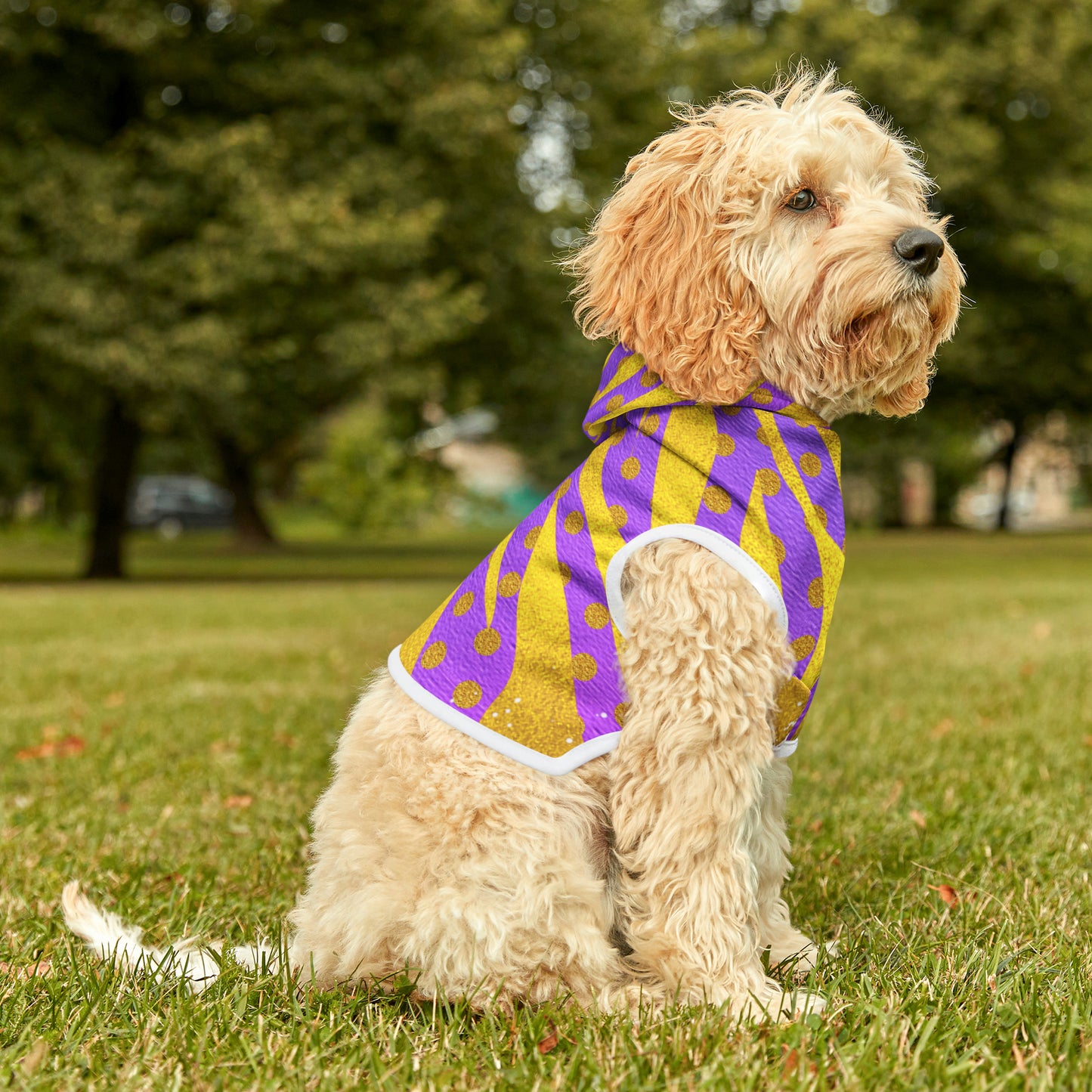 Purple and Gold- Pet Hoodie