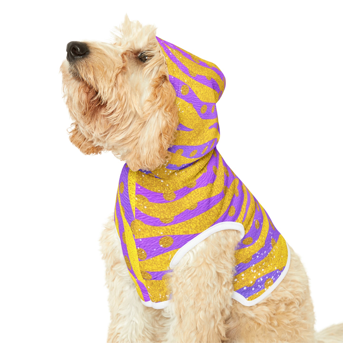 Purple and Gold- Pet Hoodie