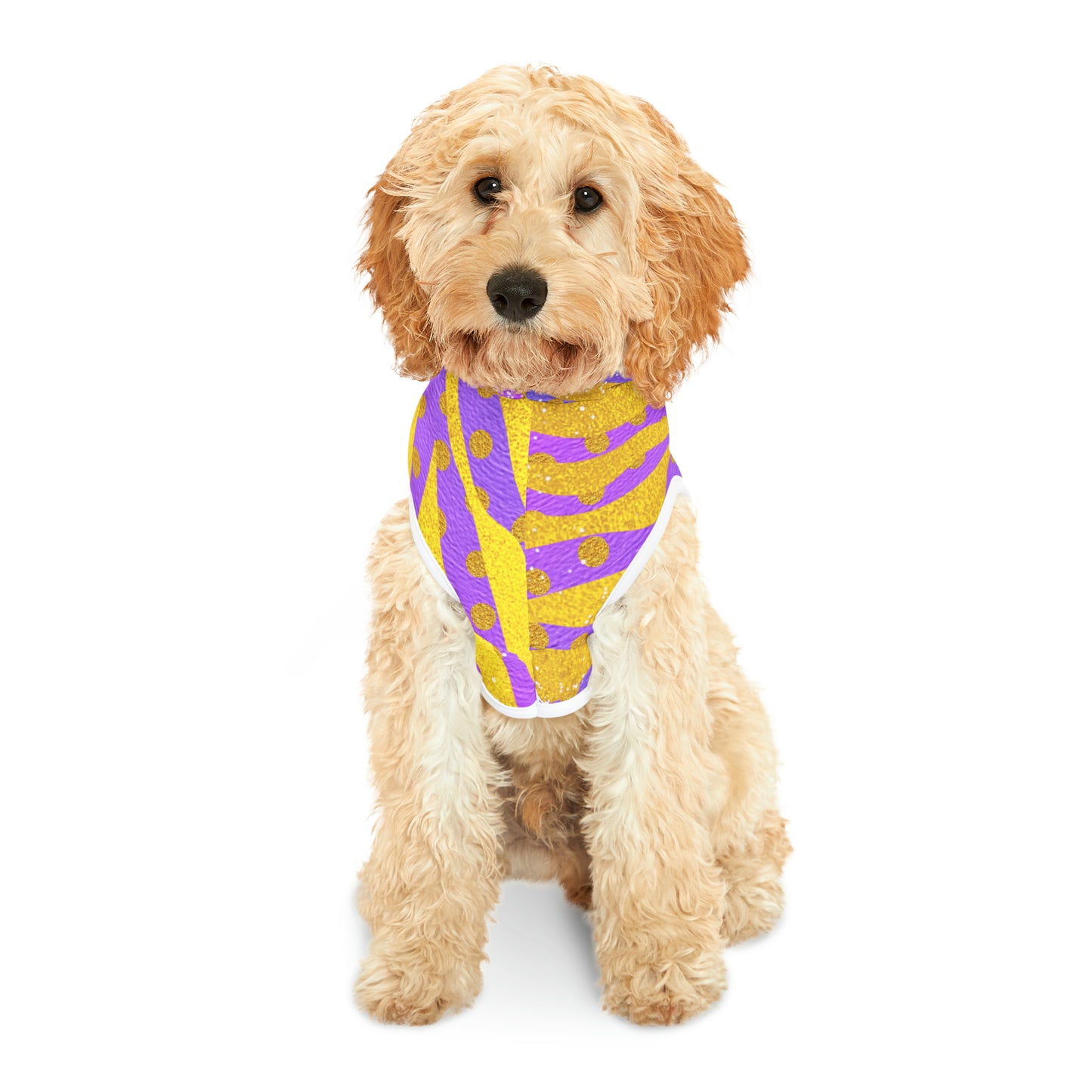 Purple and  Gold- Pet Hoodie