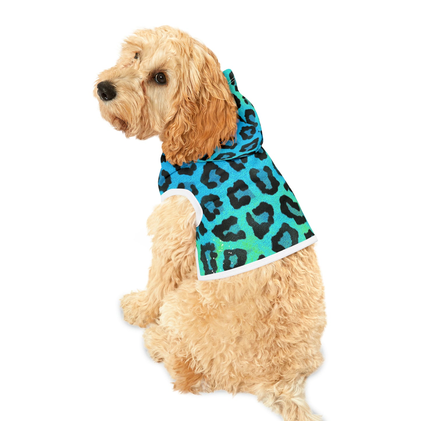 Blue Green- Pet Hoodie