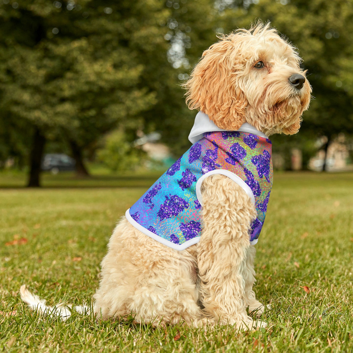 Rainbow Paw Print- Pet Hoodie