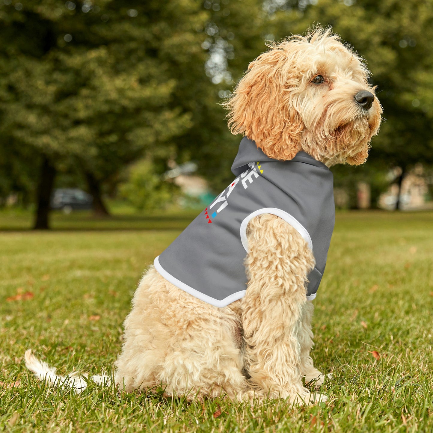 Dog Hoodie